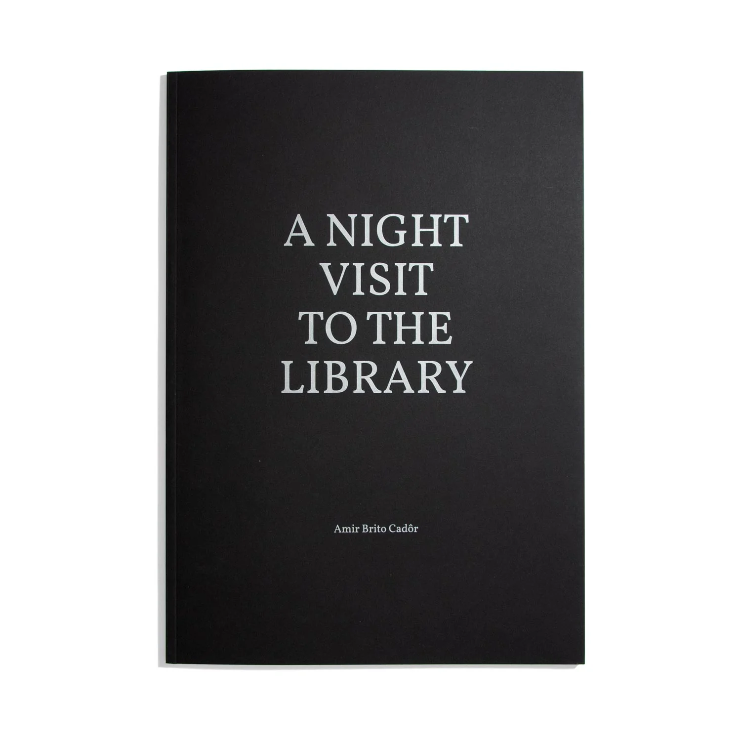 A Night Visit to the Library - Amir Brito Cador