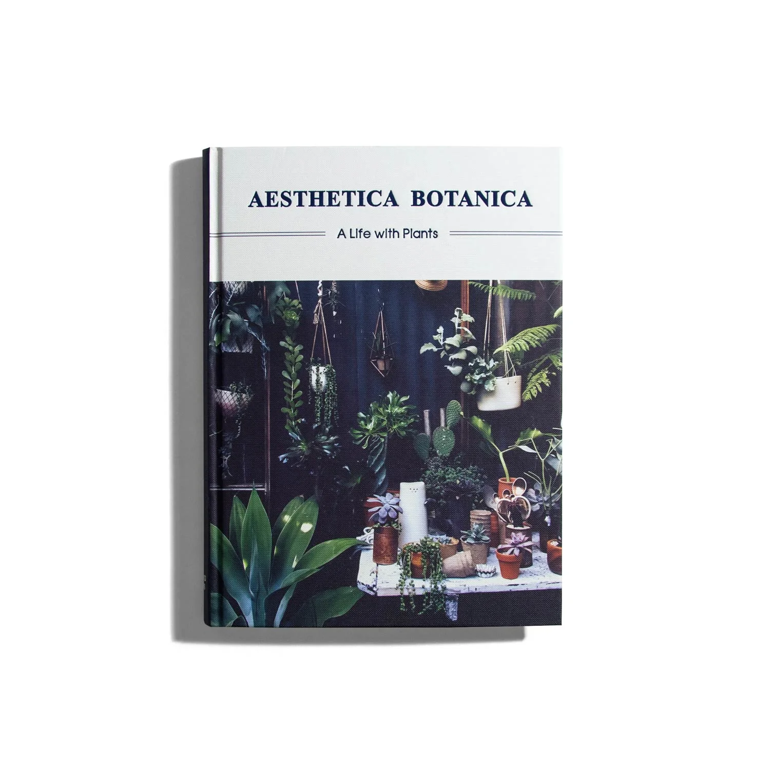 Aesthetica Botanica