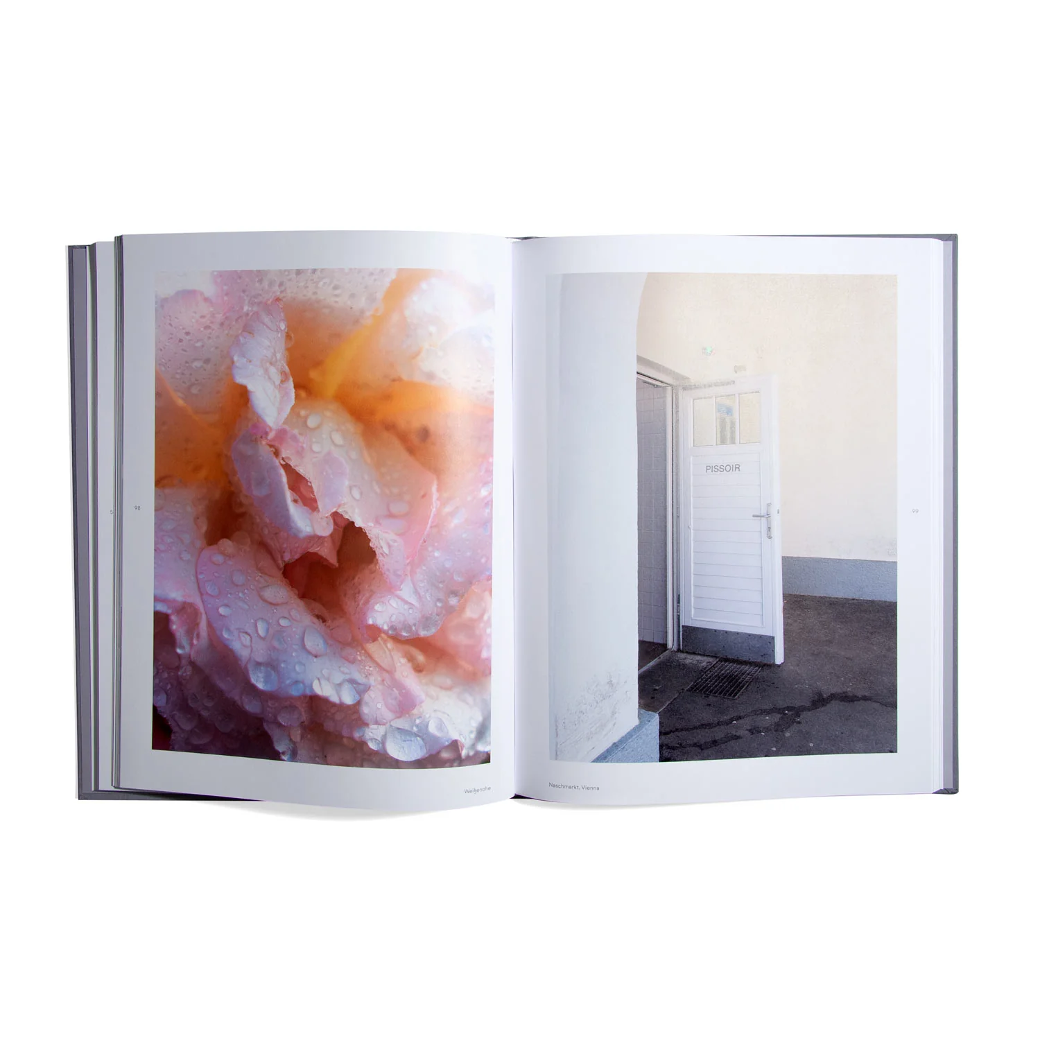 AIKO - Image 4