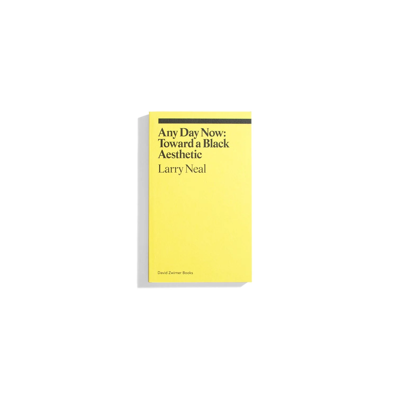 Any Day Now: Toward a Black Aesthetic - Larry Neal (ekphrasis series)