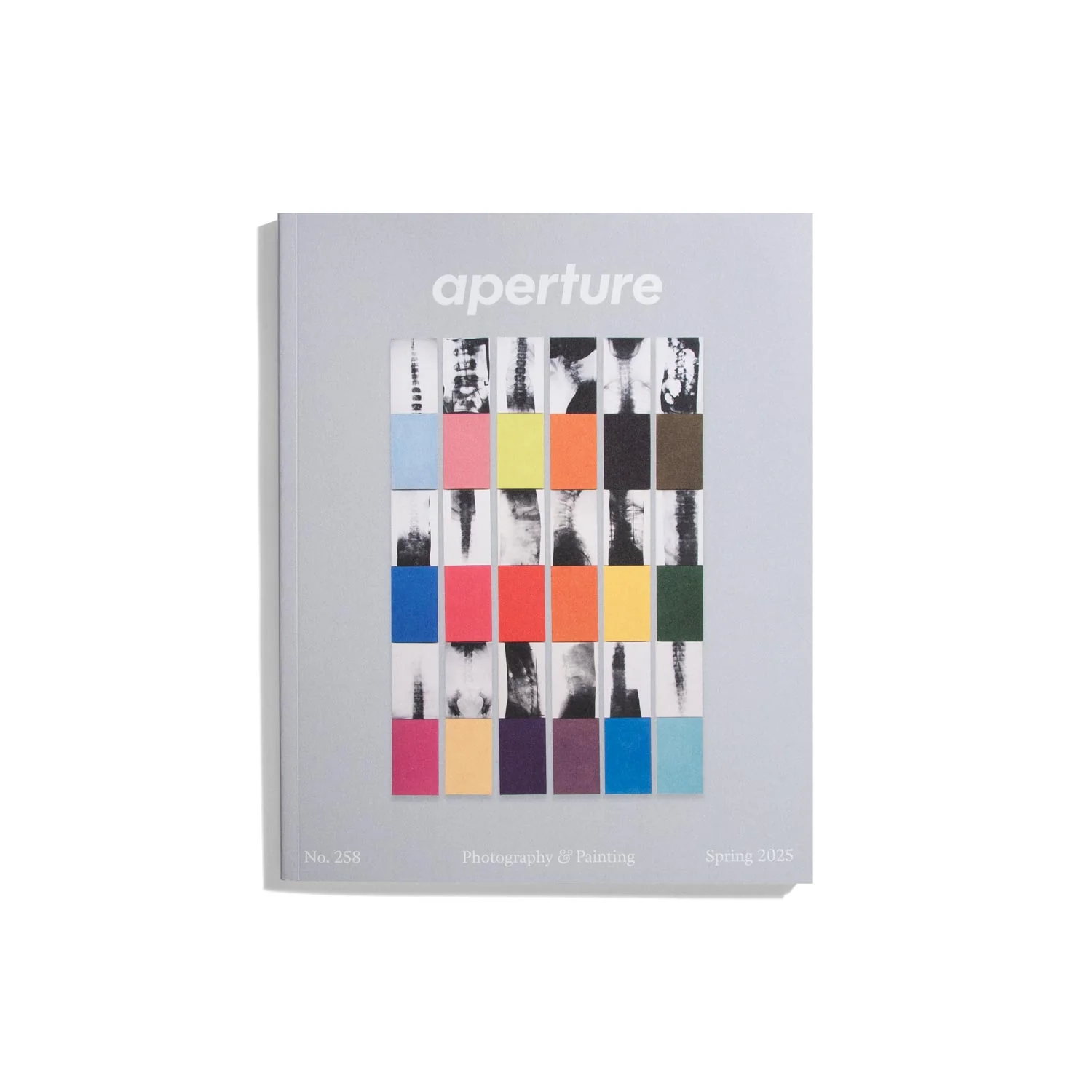 Aperture #258 2025 - Photography & Painting