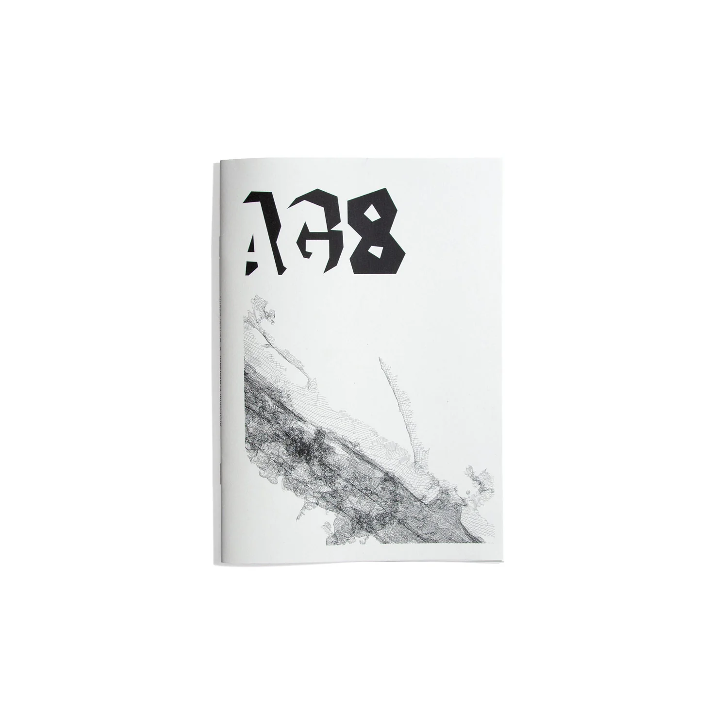 Architektur in Gebrauch #8 2021