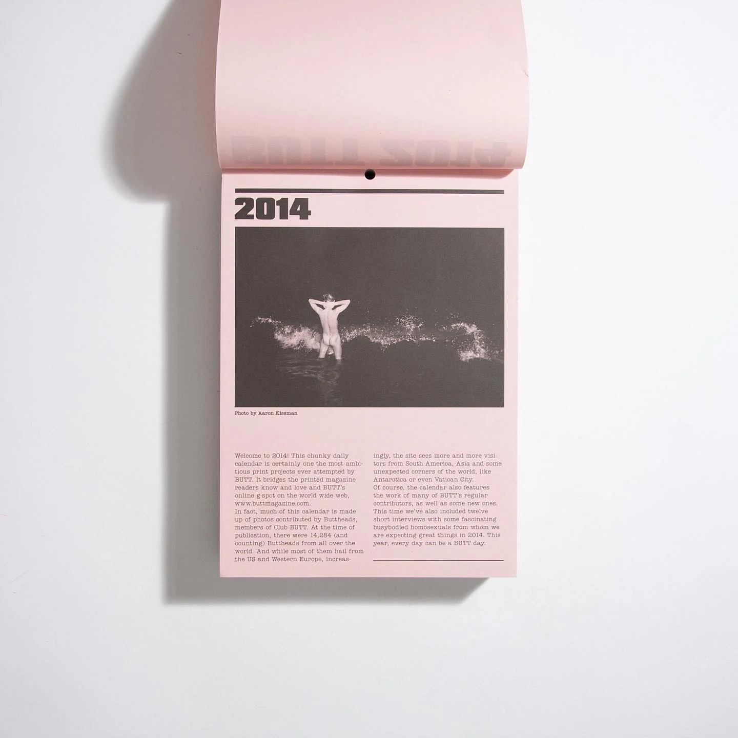 Butt Calendar from 2014 with matching dates for 2025 (magnificent, rare, out of print) - Image 2