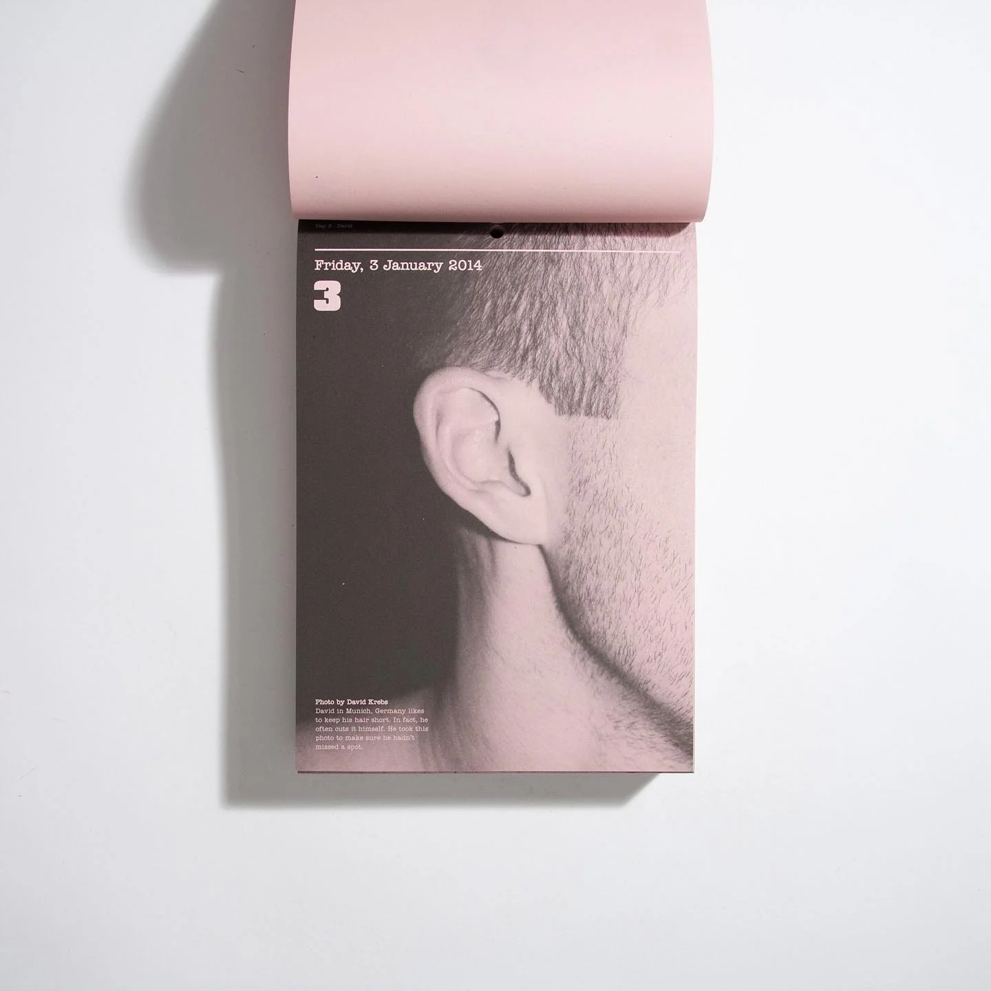 Butt Calendar from 2014 with matching dates for 2025 (magnificent, rare, out of print) - Image 4