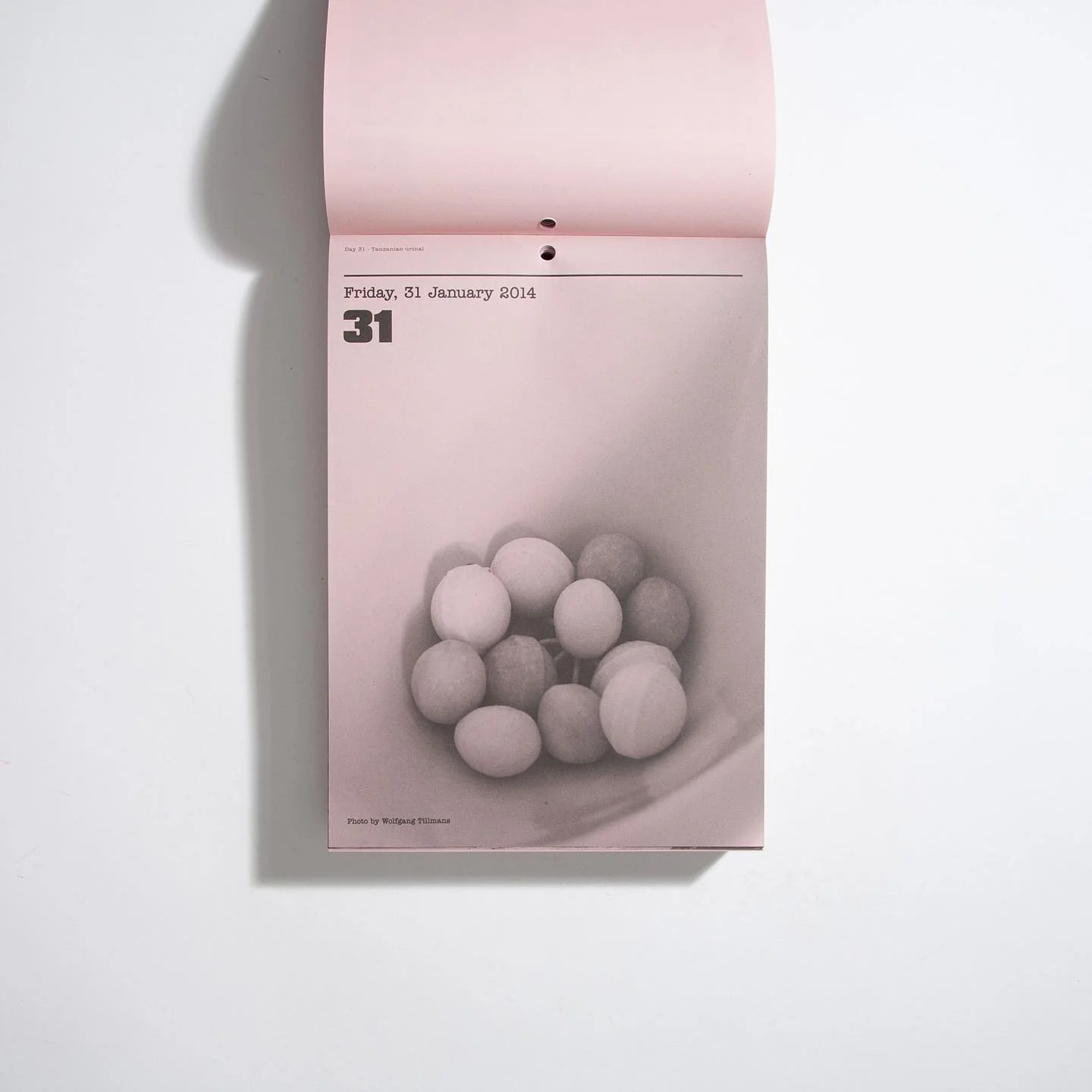 Butt Calendar from 2014 with matching dates for 2025 (magnificent, rare, out of print) - Image 6