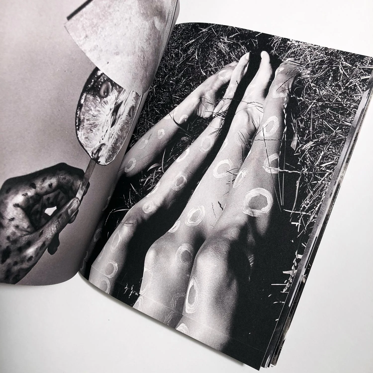 Cabin Fever - Katie Burnett - Image 4