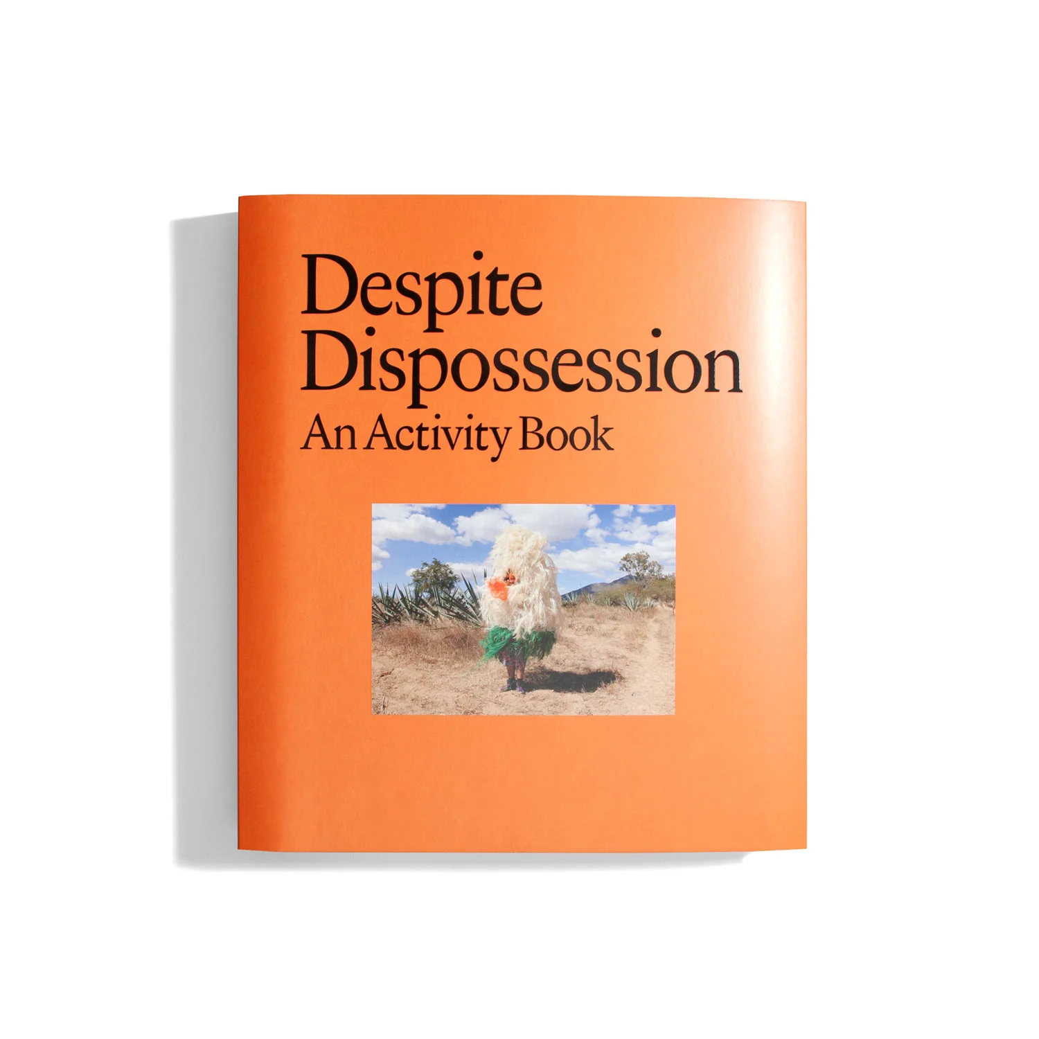 Despite Dispossession