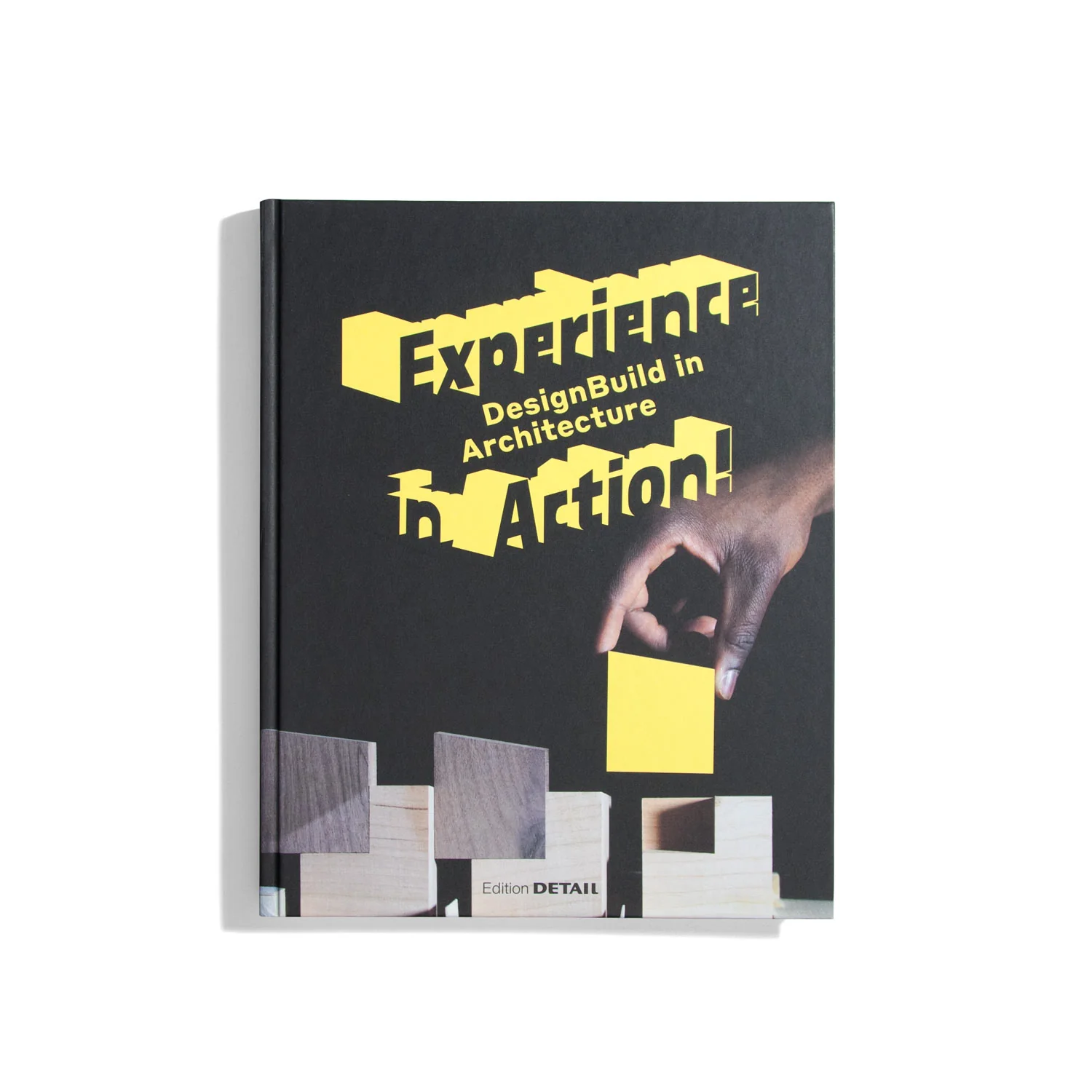 Experience in Action