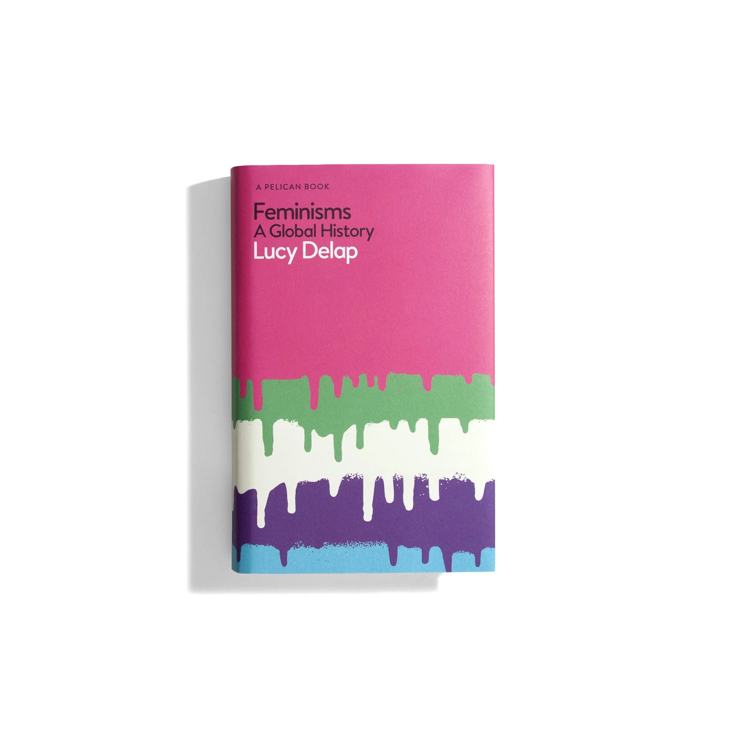 Feminisms: A Global History (PB)