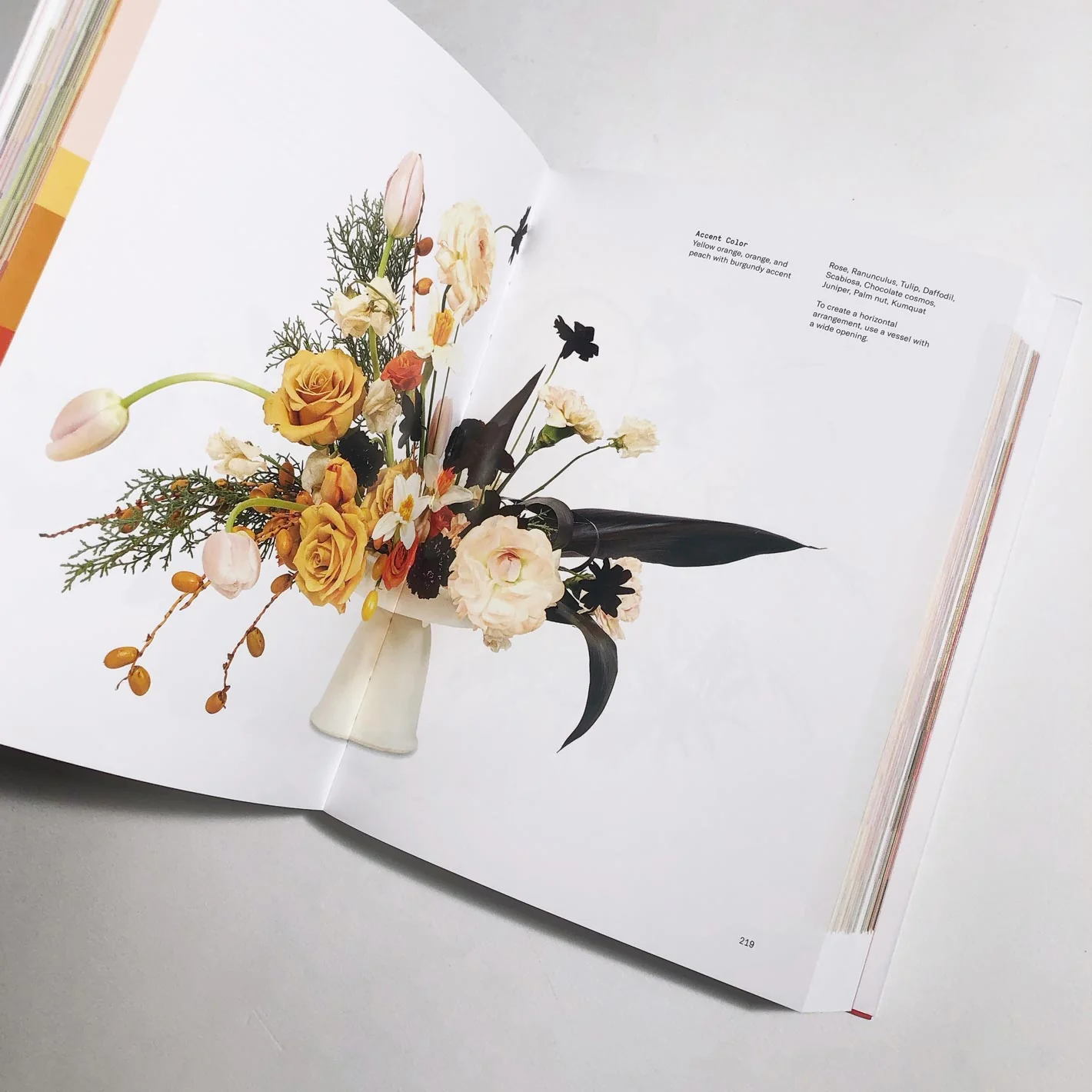 Flower Color Theory - Image 3