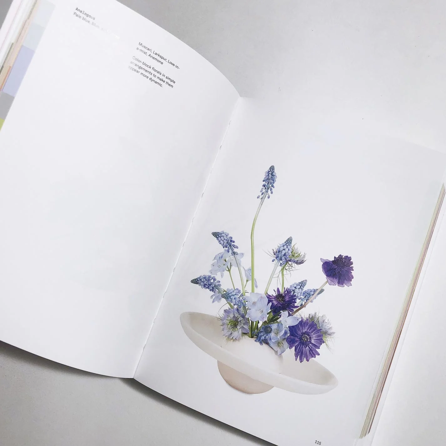 Flower Color Theory - Image 4