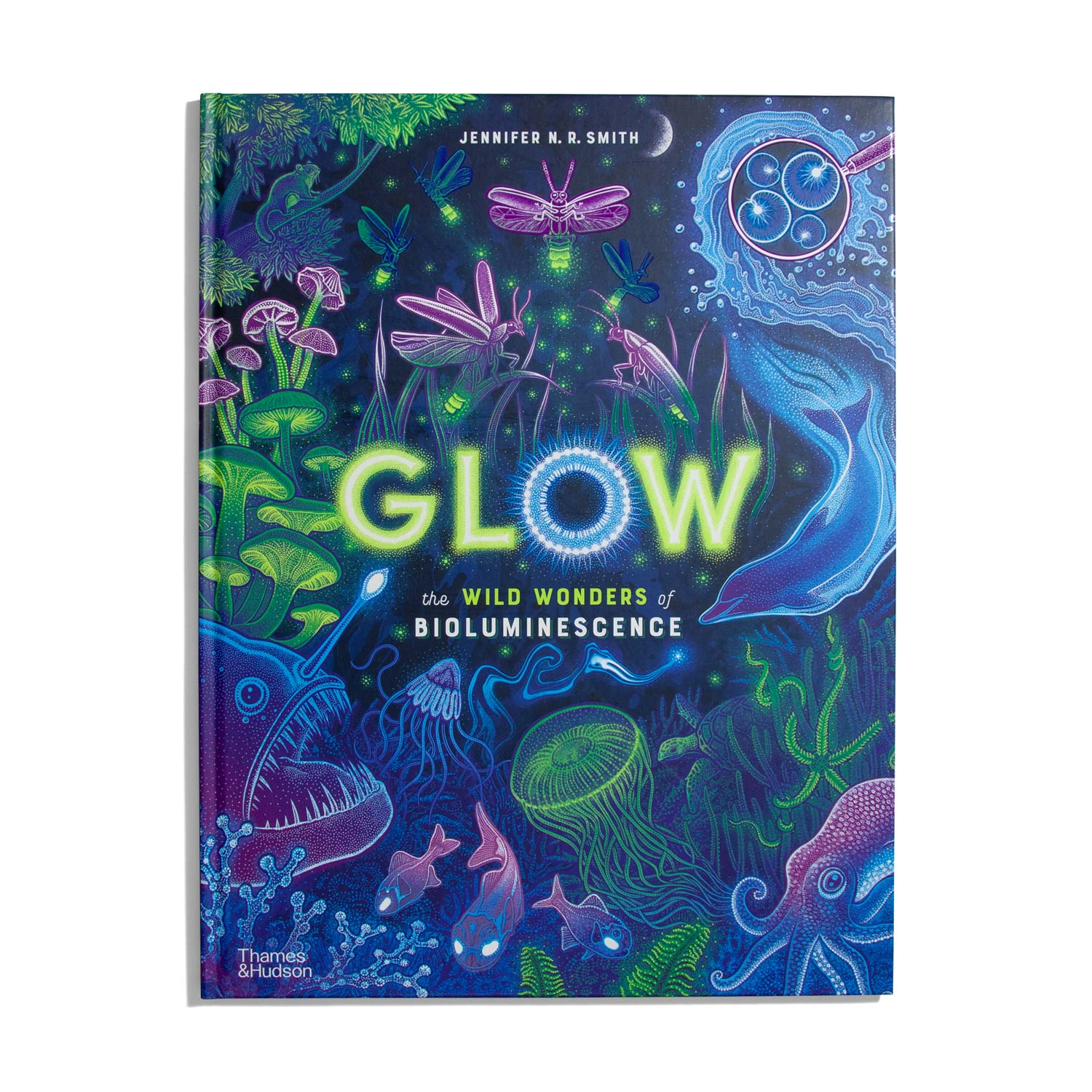 Glow - Jennifer N. R. Smith (EN)