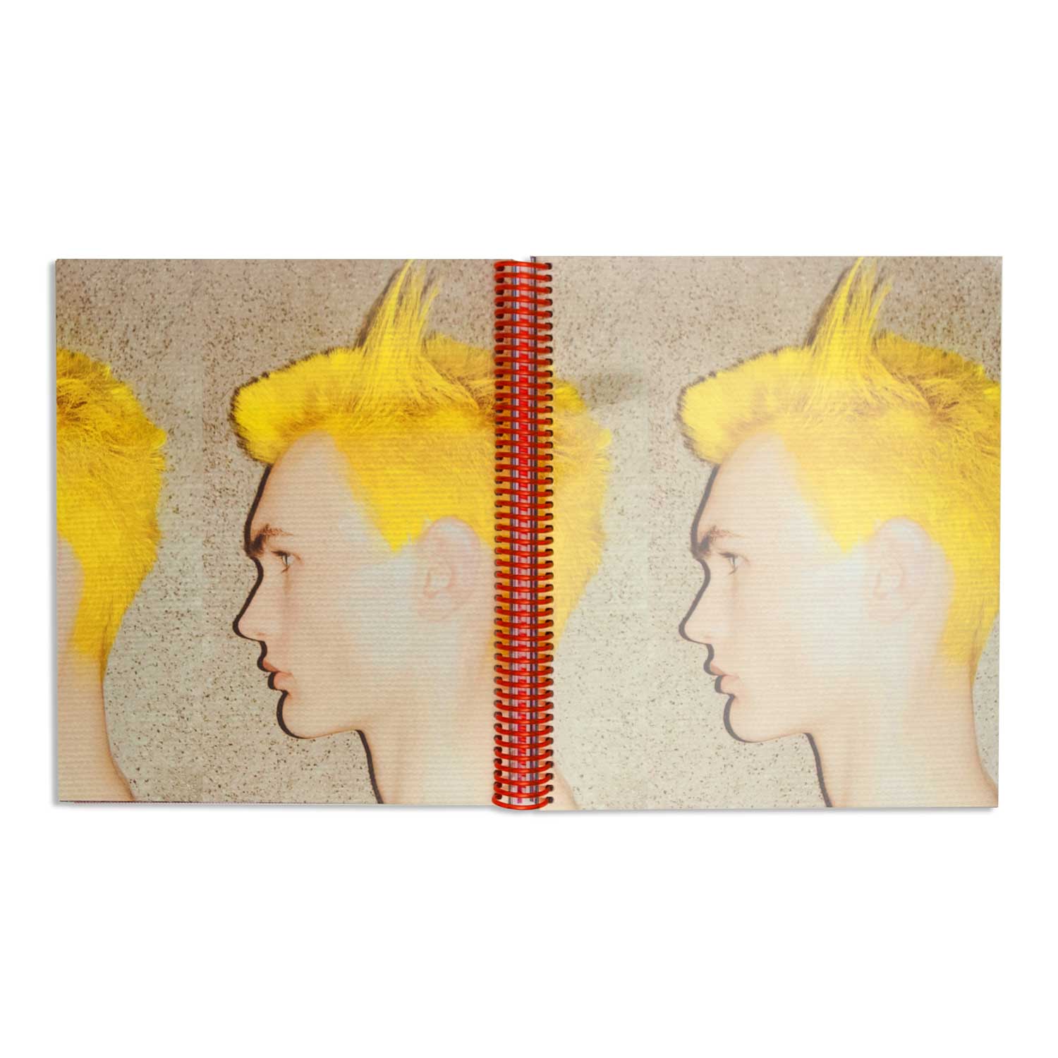 #HAIRTESTS (1st ed.) - Guido Palau - Image 3
