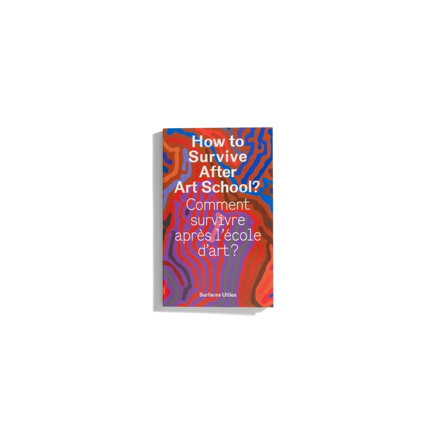 How To Survive After Art School? (Comment survivre après l'école d'art?)