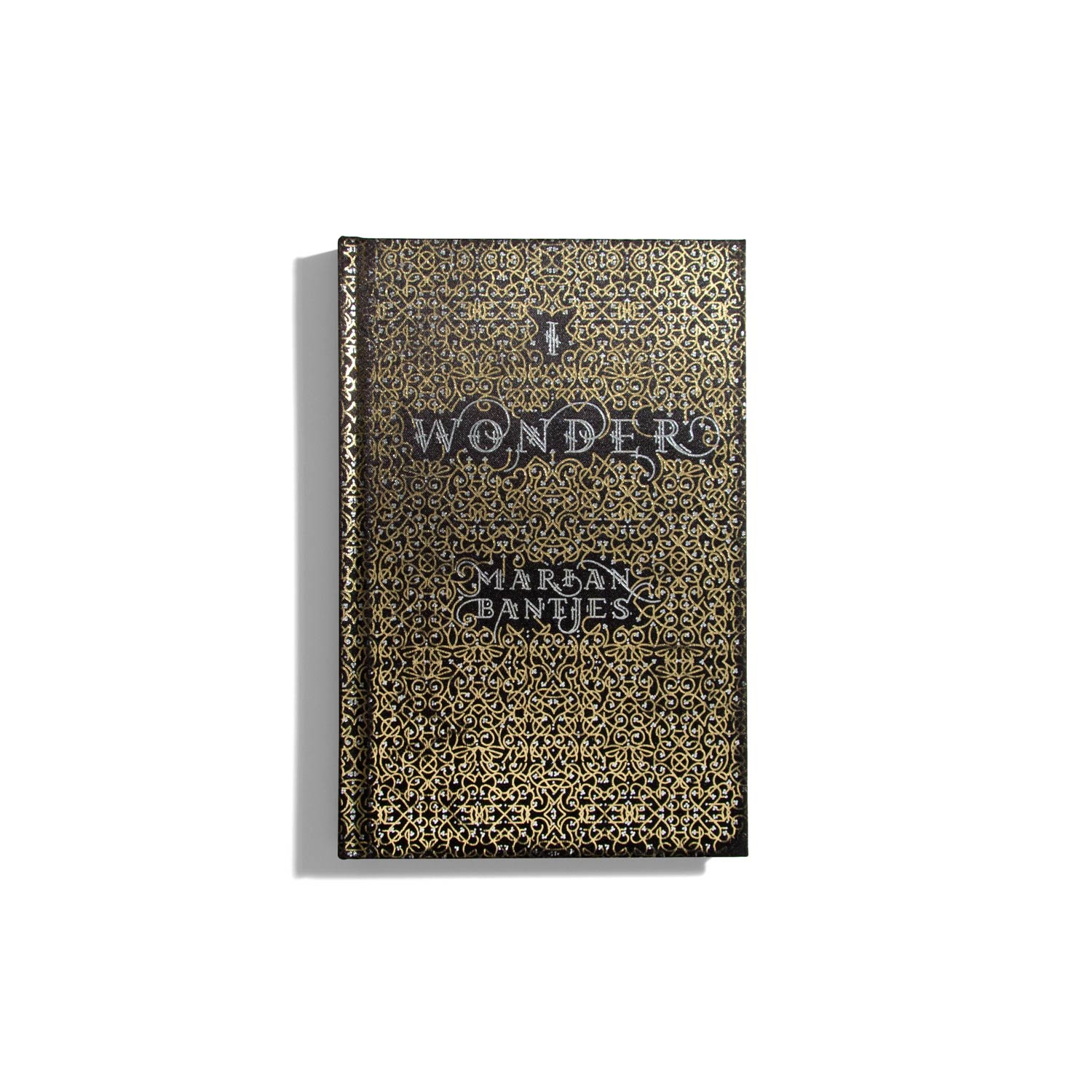 I Wonder - Marian Bantjes
