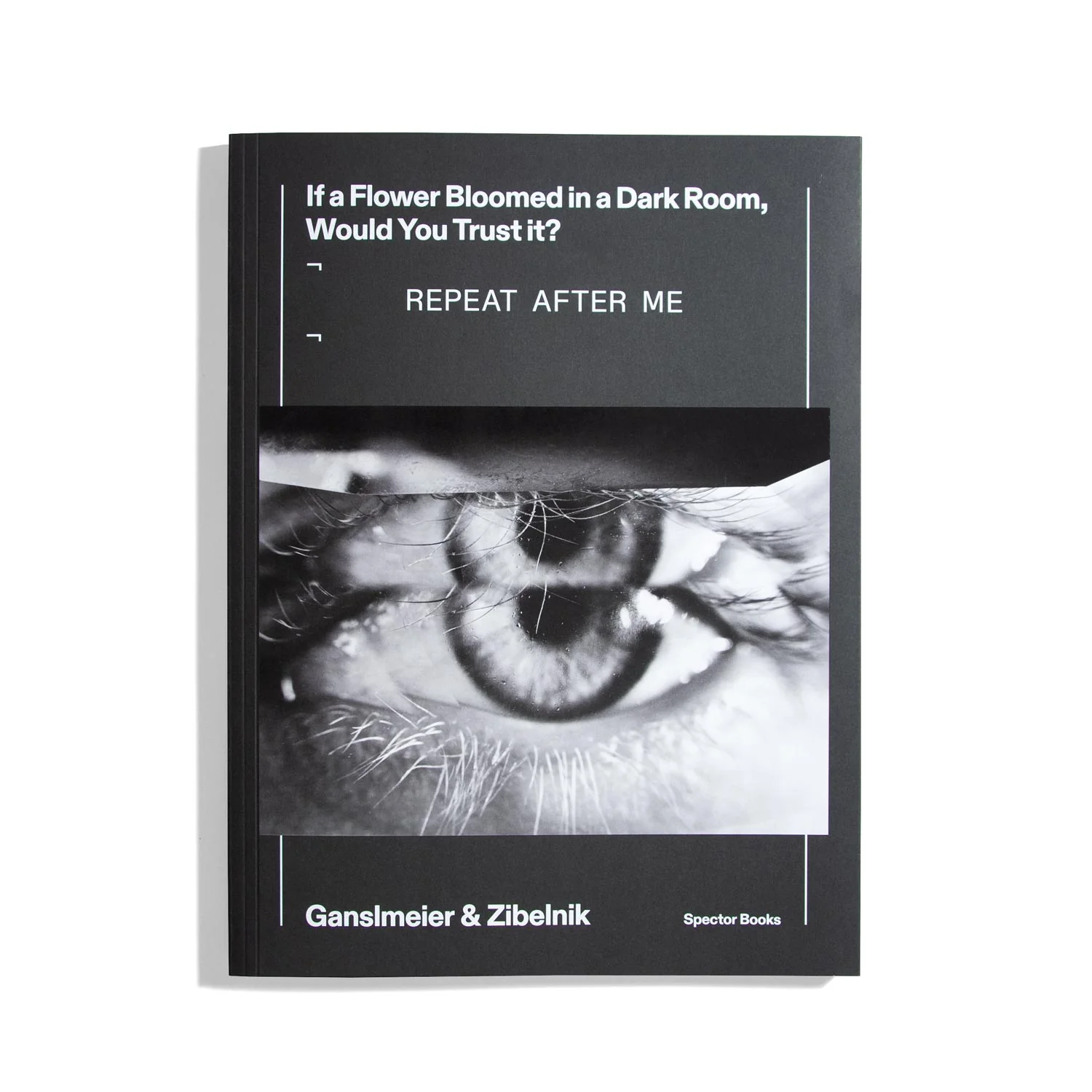 If a Flower Bloomed in a Dark Room, Would You Trust It? - Image 2