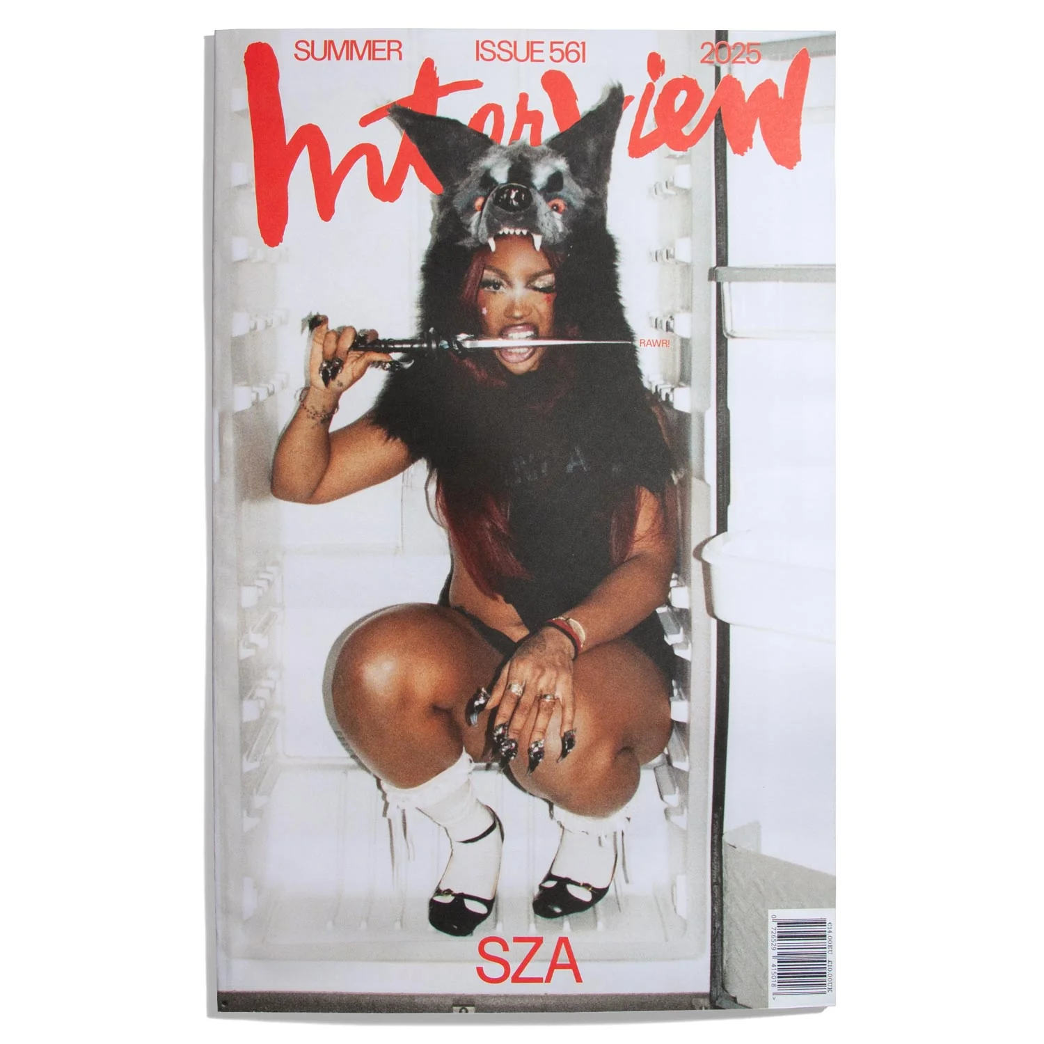 Interview USA 2025 #561
