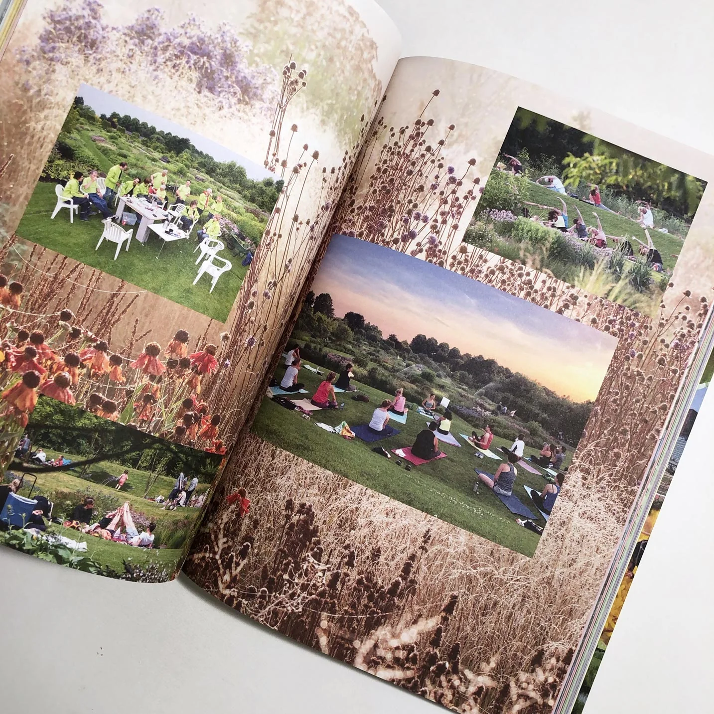 Landscape Works with Piet Oudolf and LOLA - In Search of Sharawadgi - Image 2
