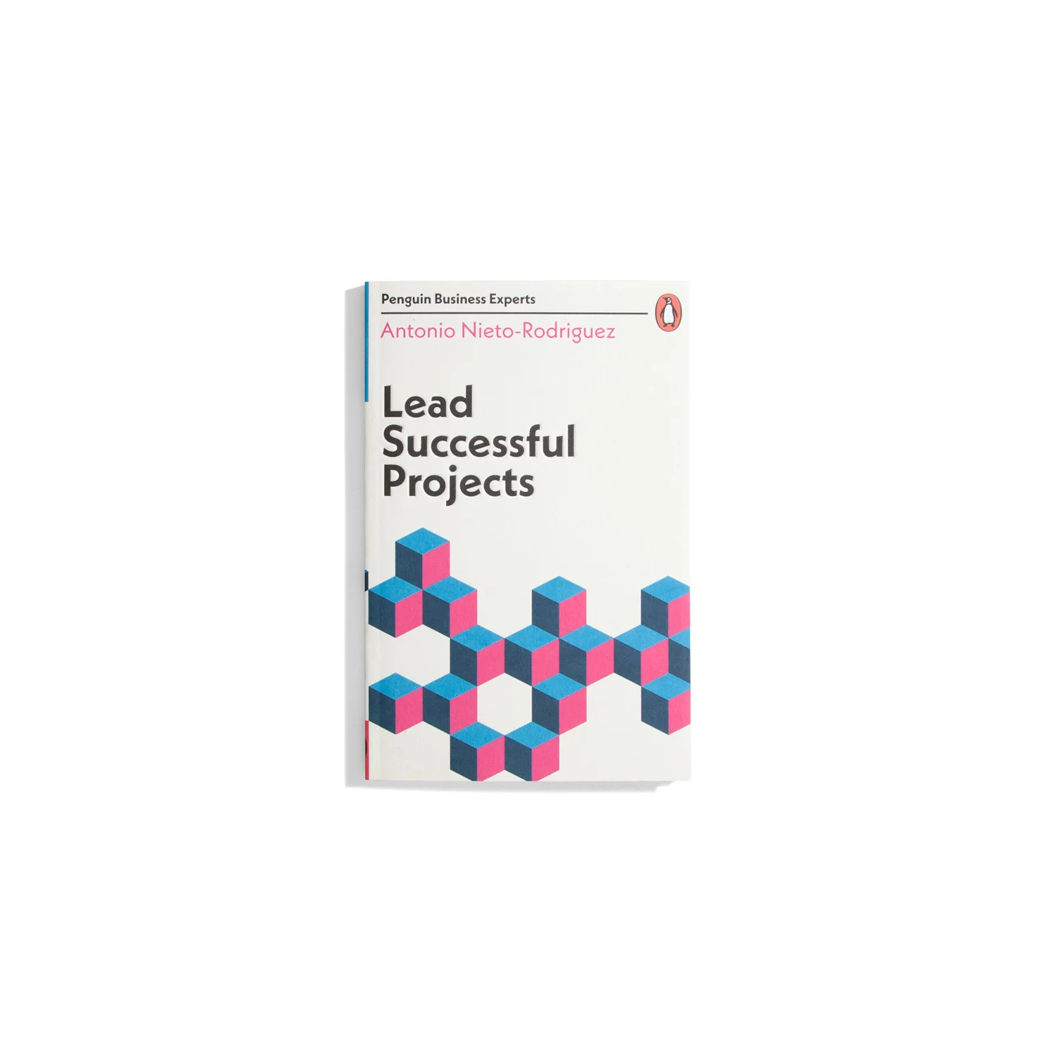 Lead Successful Projects