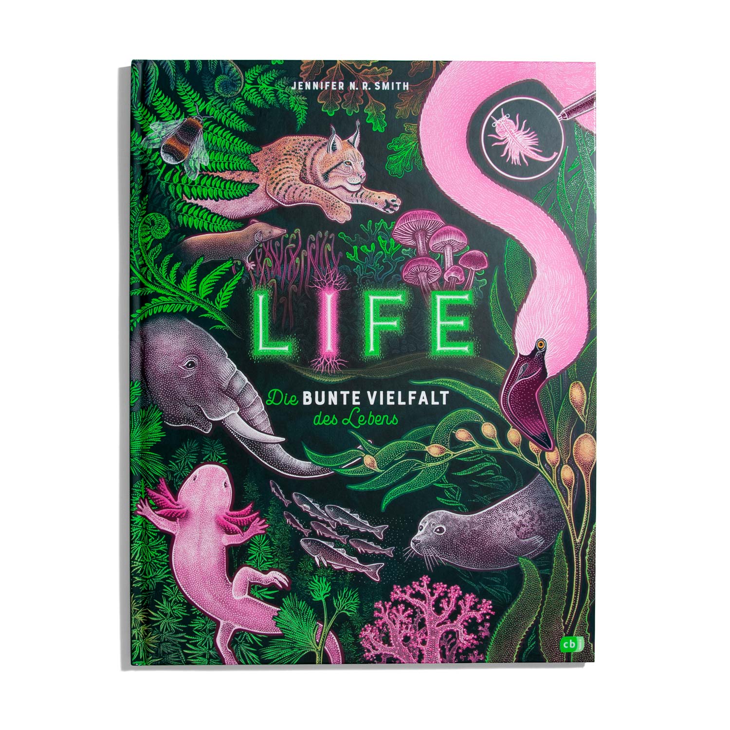 Life - Jennifer N.R. Smith (DE)