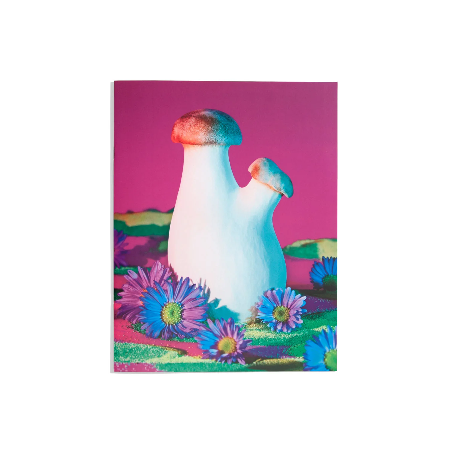 Mushrooms and Friends Zine #2