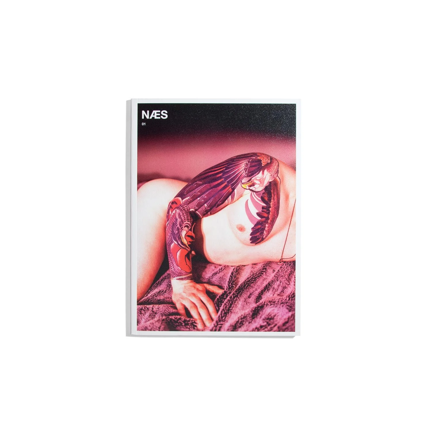 NAES #1