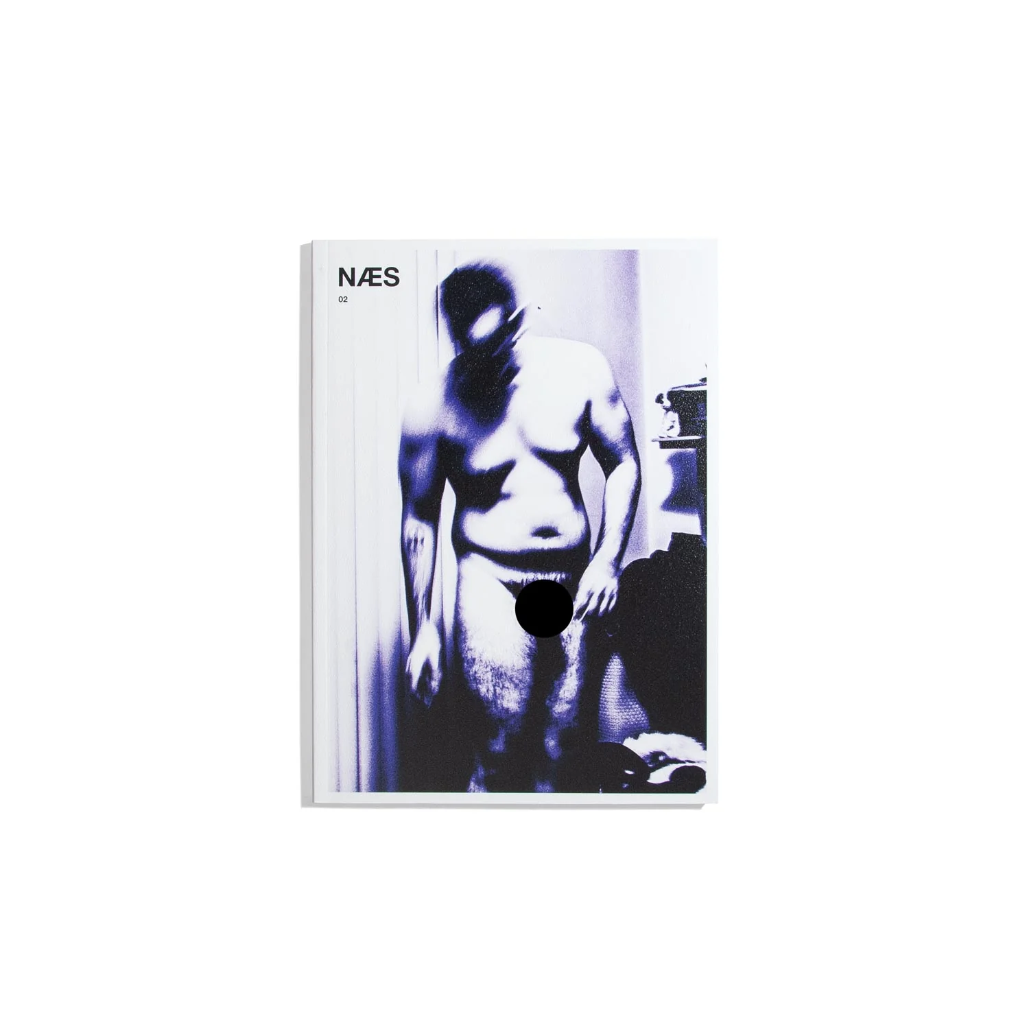 NAES #2