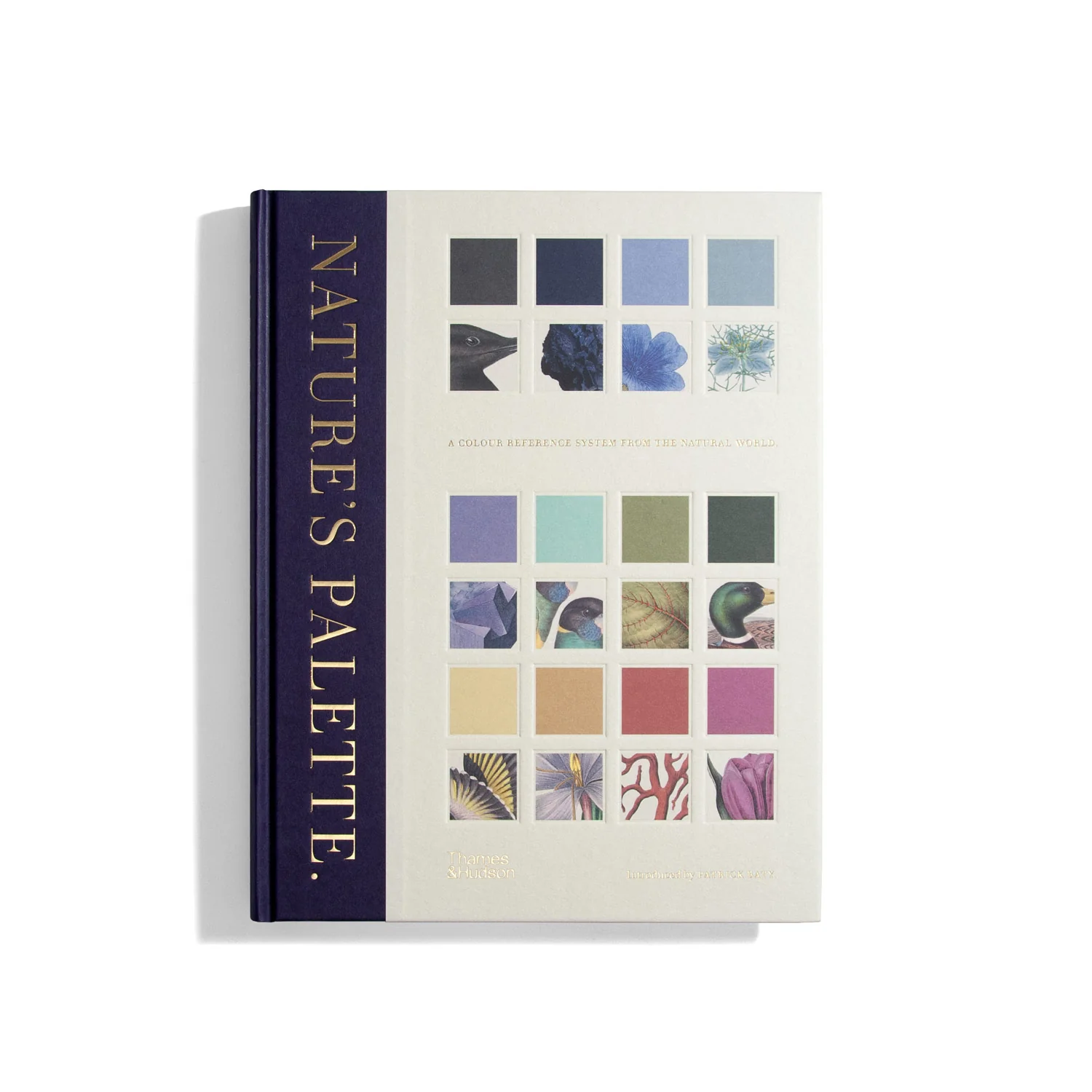 Nature's Palette