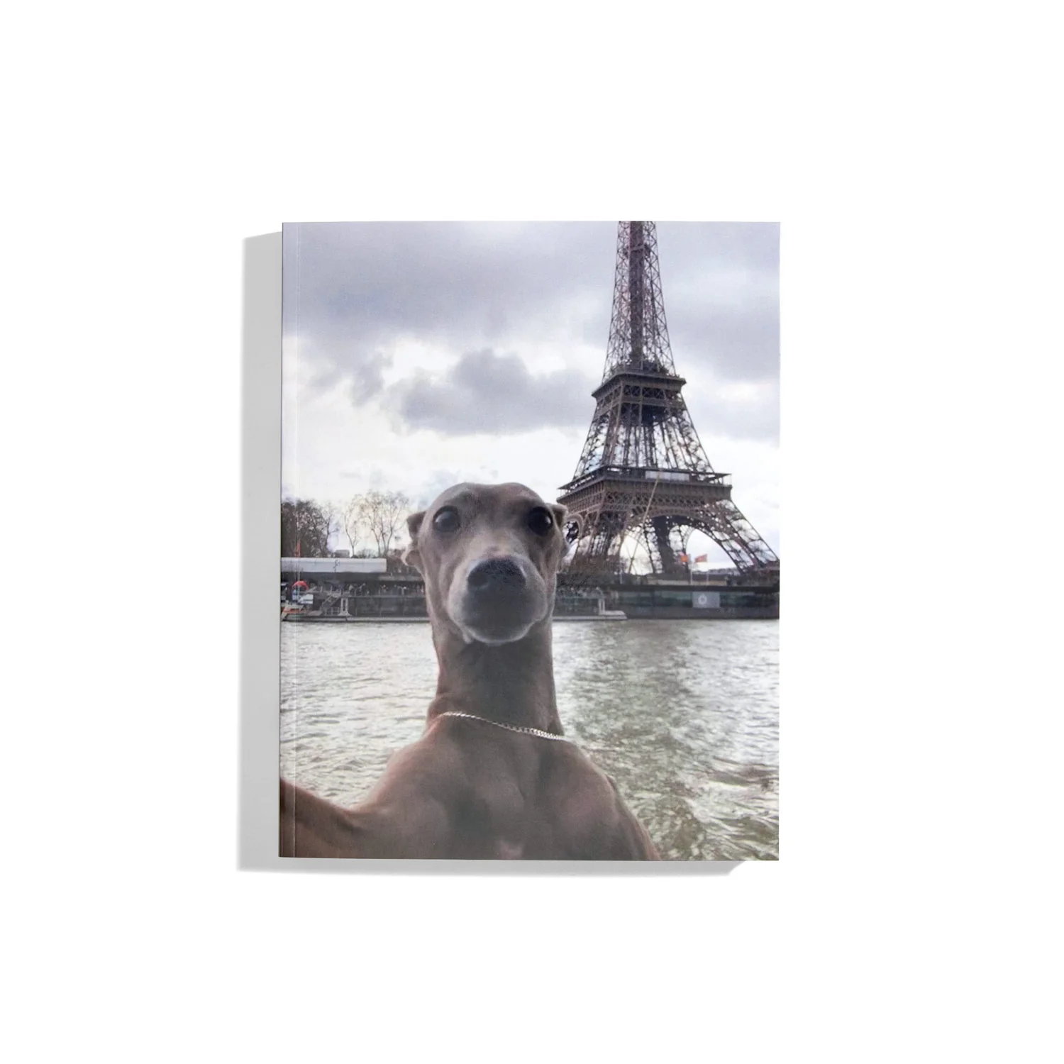 Not My Animal