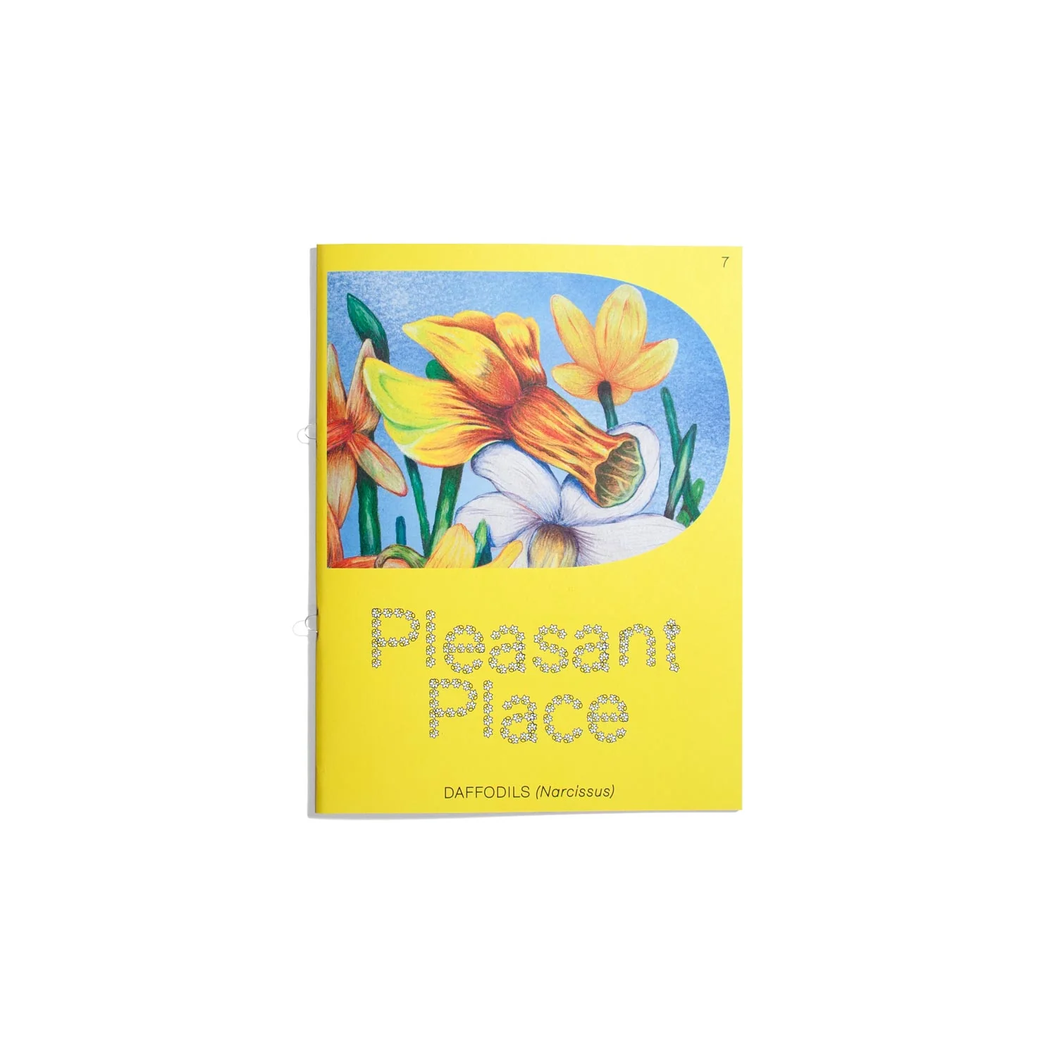 Pleasant Place - Daffodils - Issue #7