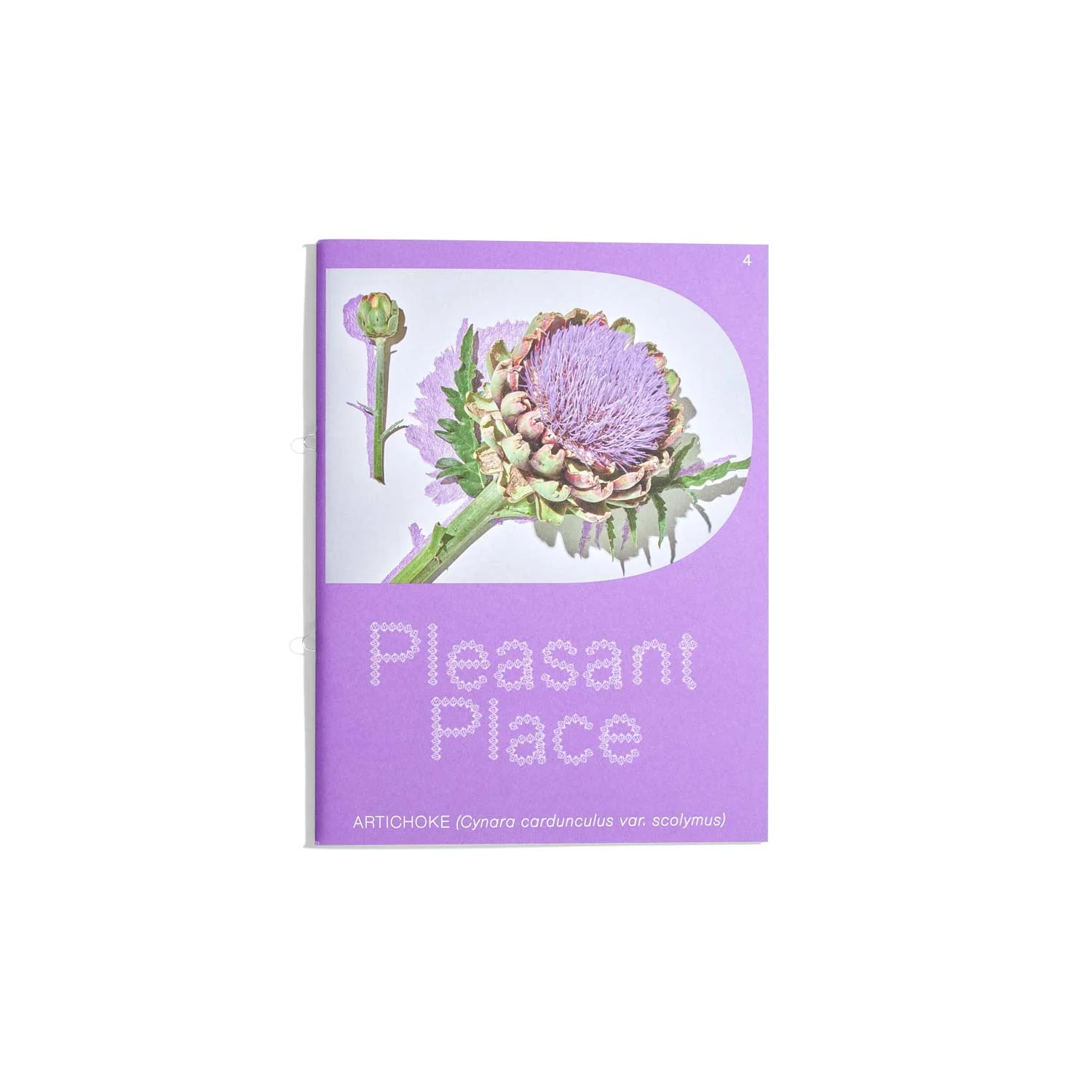 Pleasant Place - Issue #4 - Artichoke