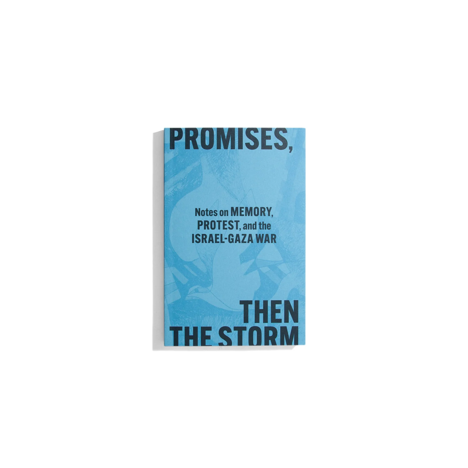 Promises, then the Storm - Melani McAlister (Discourse series)