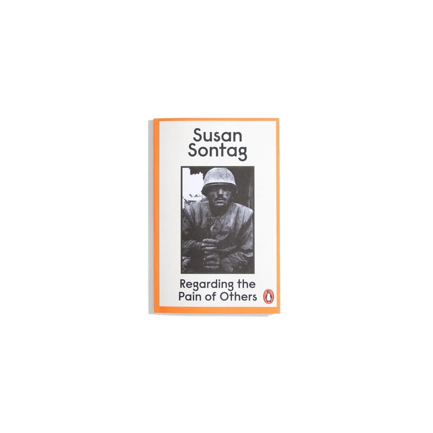 Regarding the Pain of Others - Susan Sontag