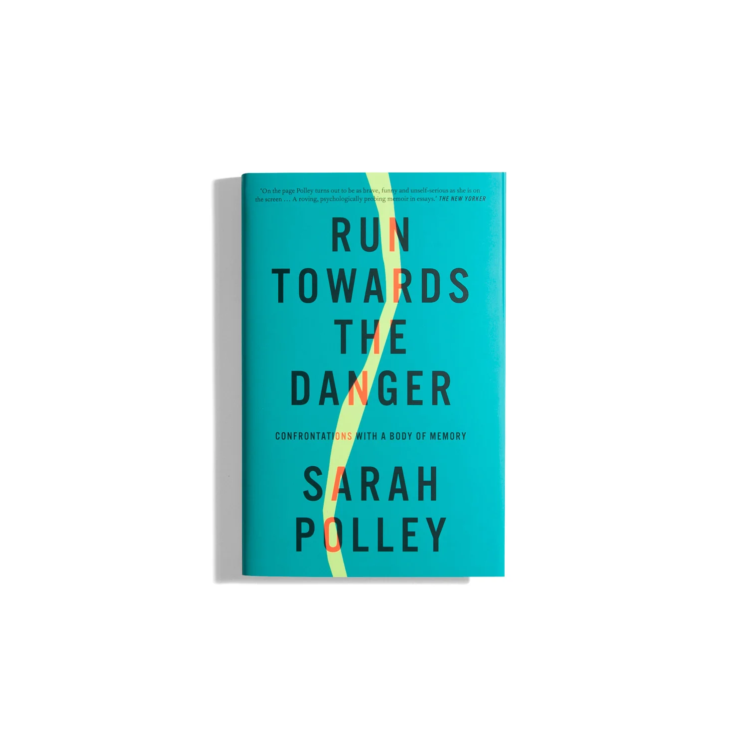 Run Towards the Danger - Sarah Polley
