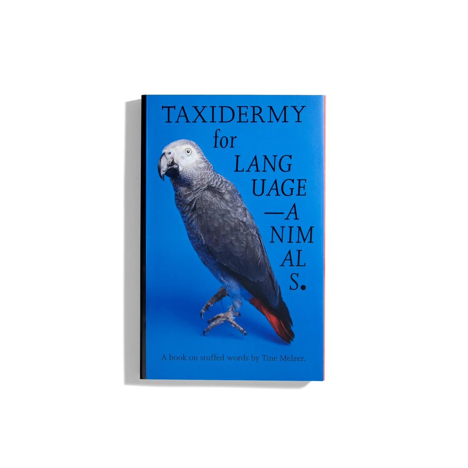 Taxidermy For Language Animals - Tine Melzer