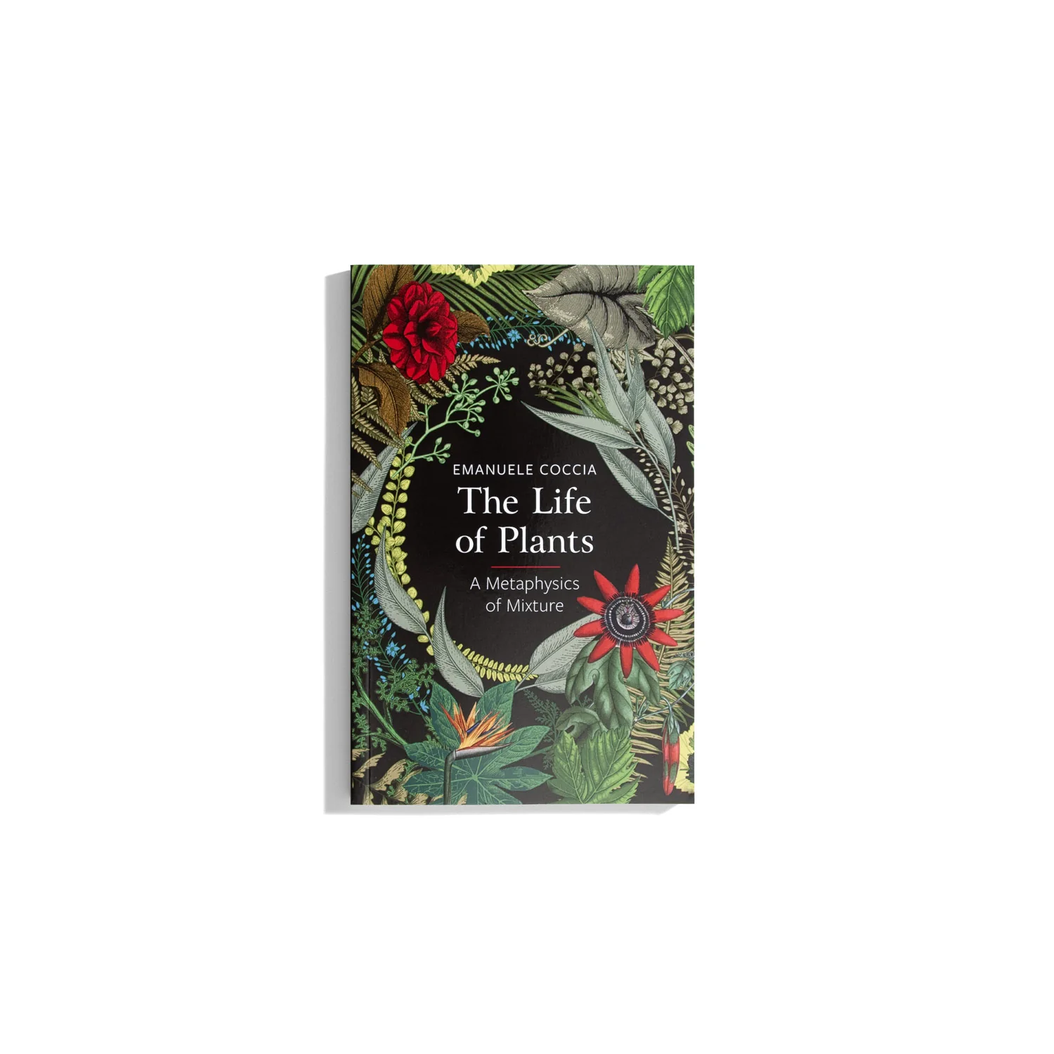 The Life of Plants