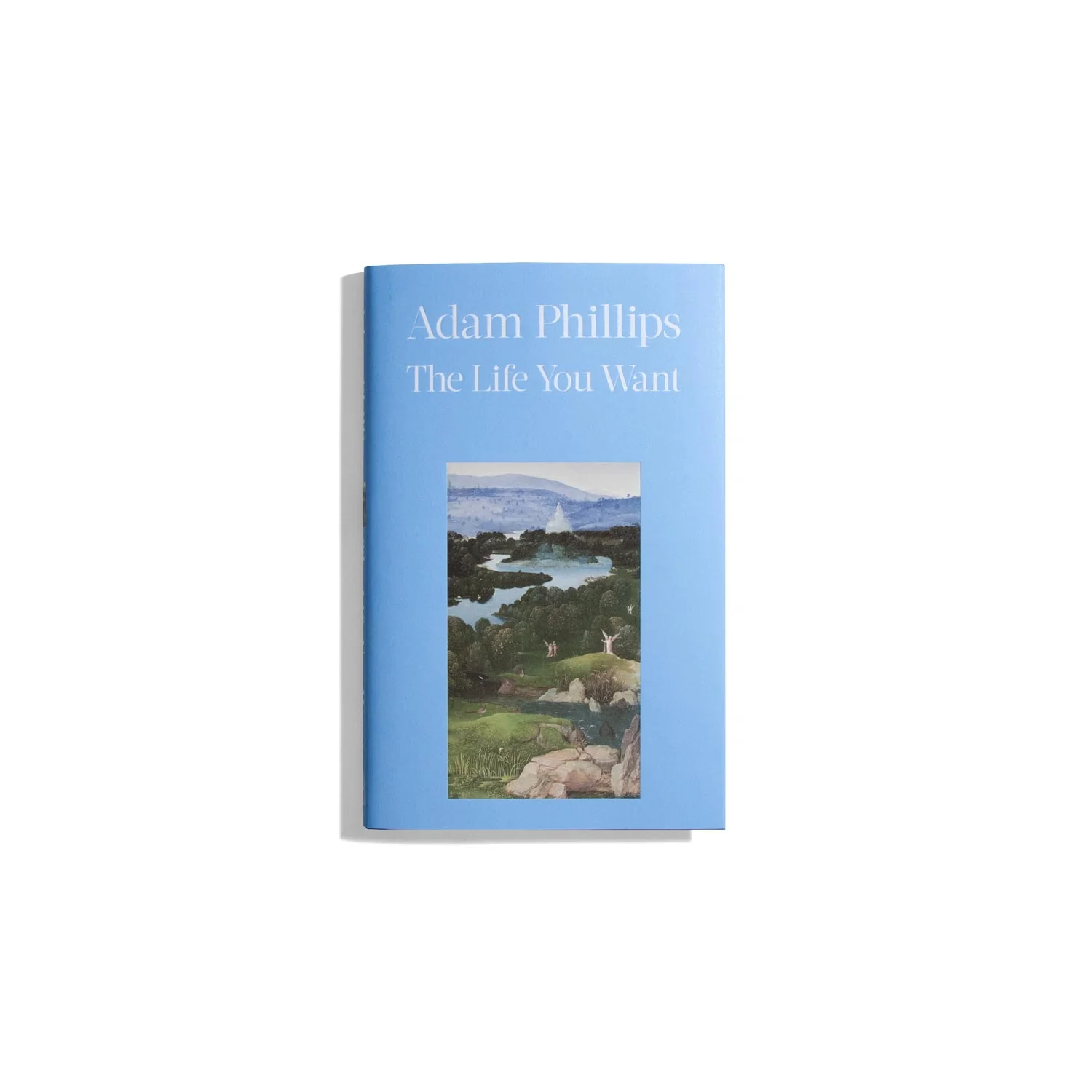 The Life You Want - Adam Phillips
