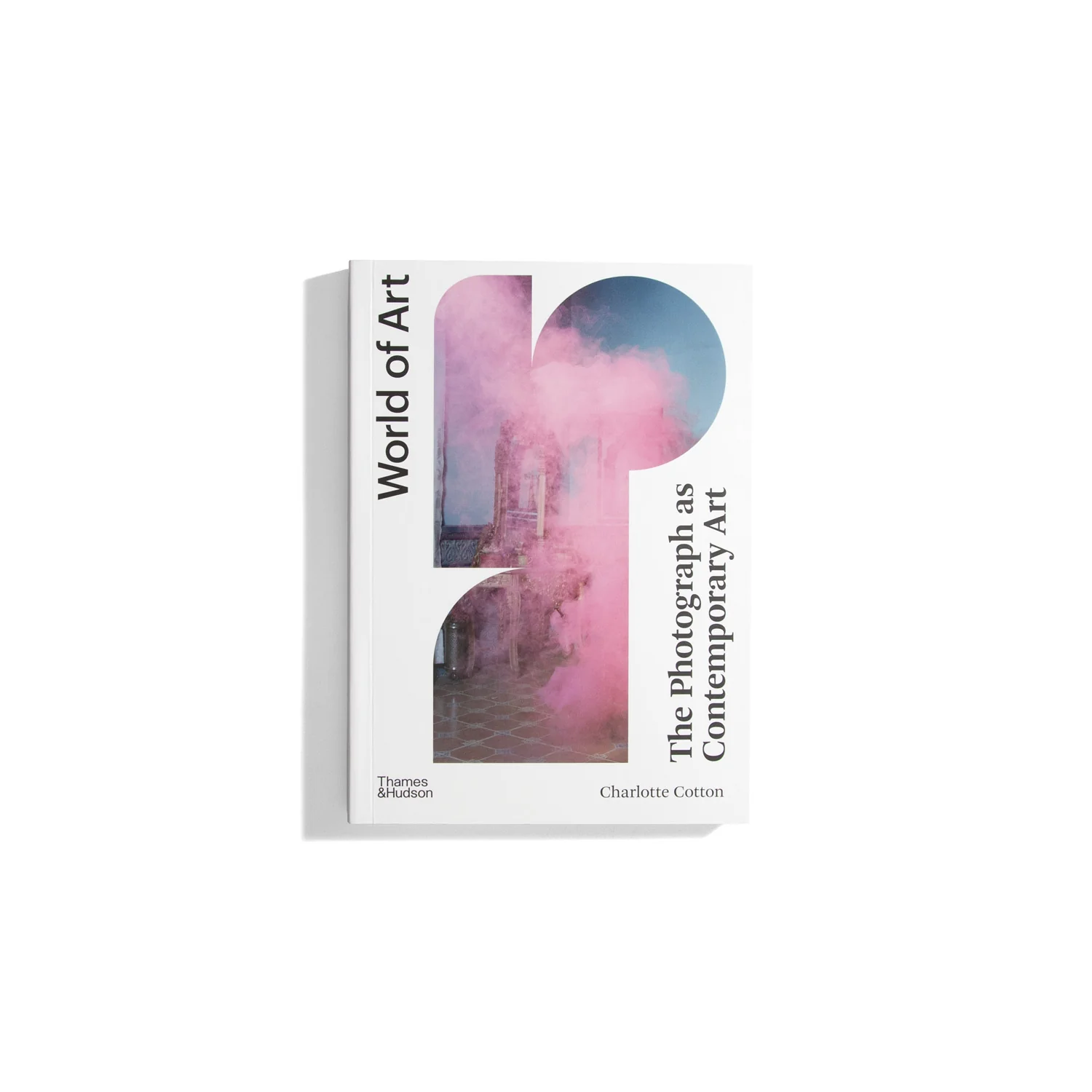 The Photograph as Contemporary Art – World of Art Series