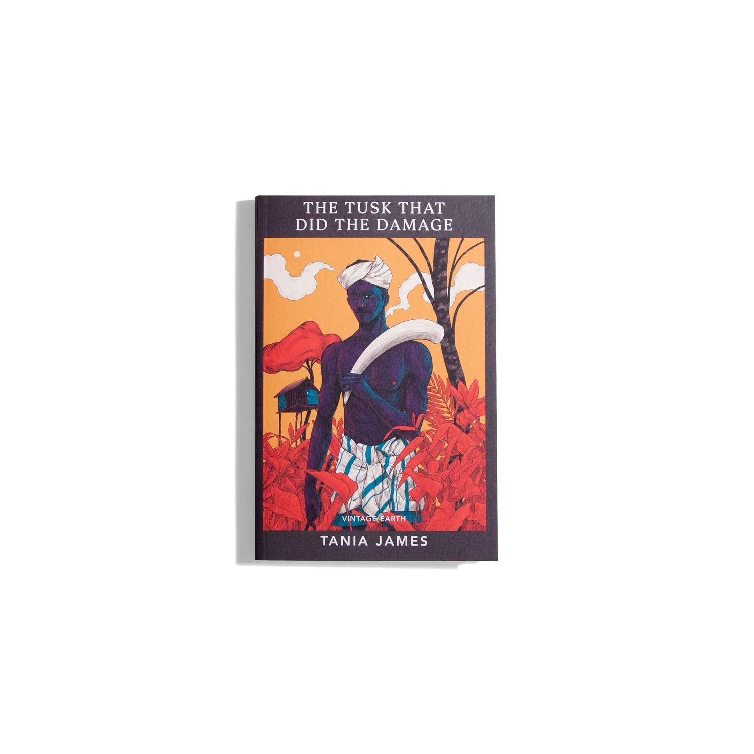 The Tusk That Did The Damage - Tania James