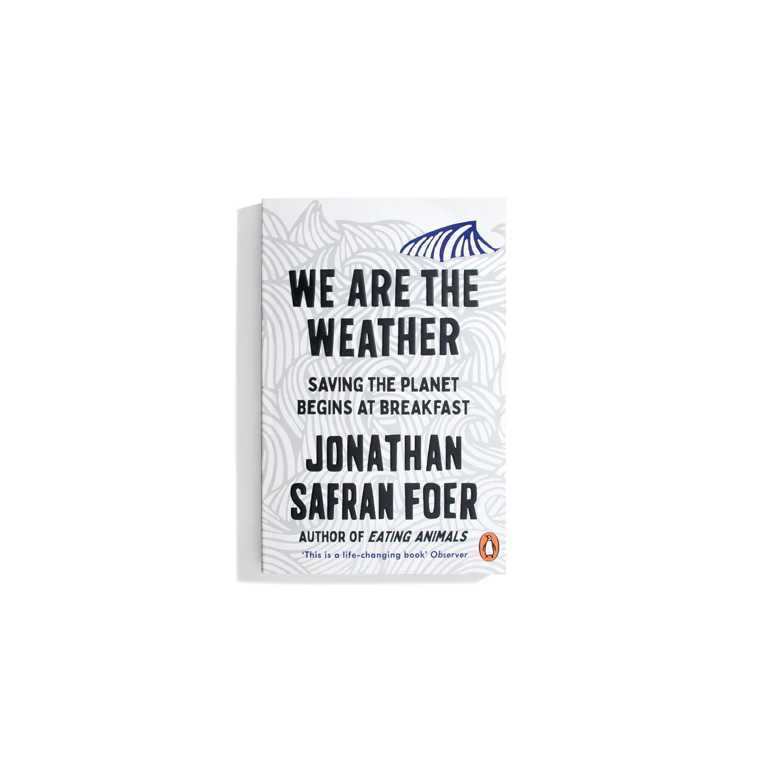 We Are The Weather (PB)