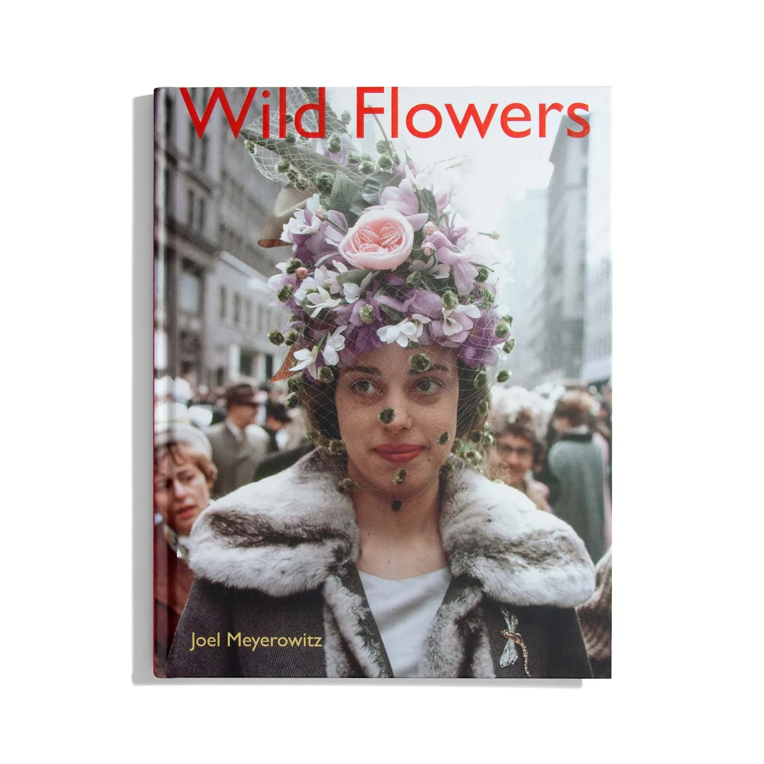 Wild Flowers